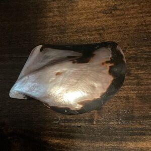 Genuine Mother of Pearl Belt Buckle